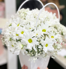 Сумочка с белыми ромашками