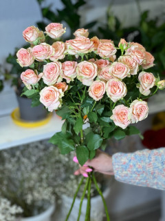 Кустовая роза Азора 