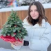 Новогодняя елка с ягодами илекса