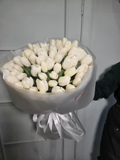 Букет белых тюльпанов XXL (61 шт)