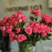 Кустовая роза Беллалинда 