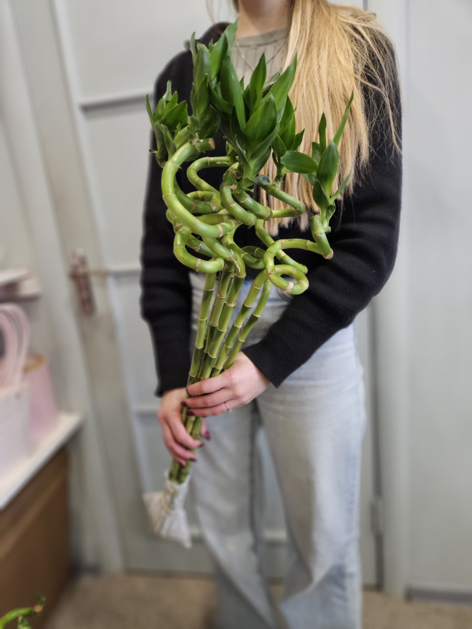 Бамбук Китай 