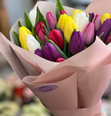 25 тюльпанов "Синива"