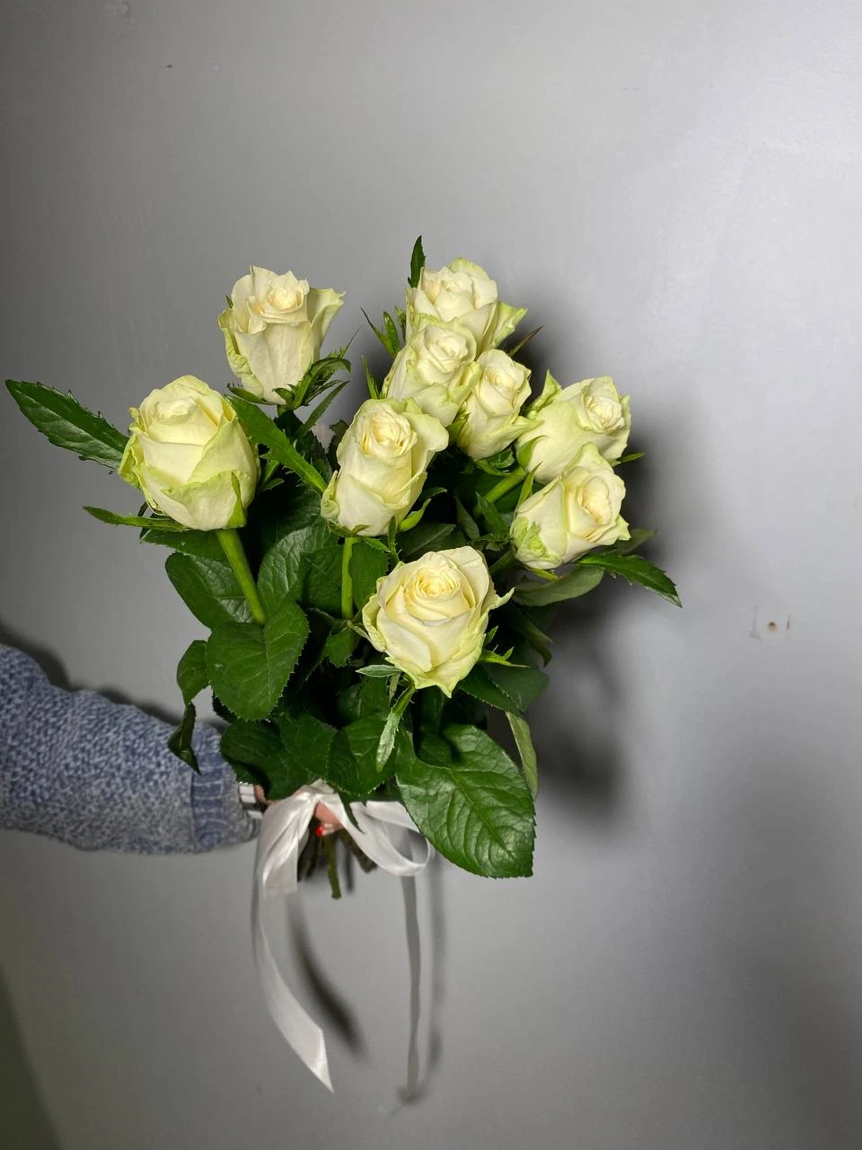 Роза Атена 60 см