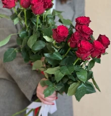 Роза Родос 60 см