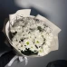 51 ромашка в упаковке "Элис"