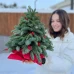 Новогодняя елка с ягодами илекса