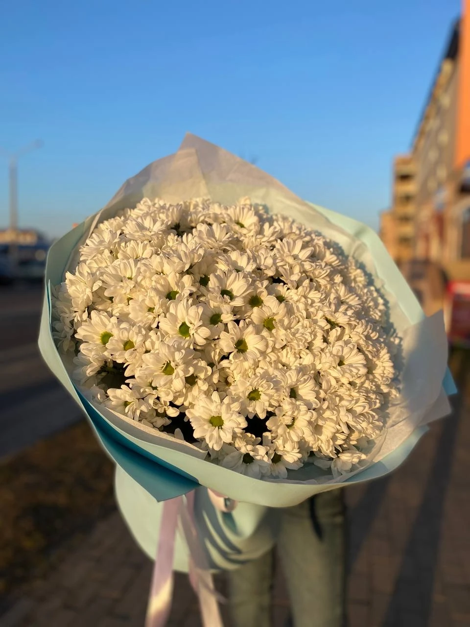 301 ромашка в упаковке Солнышко