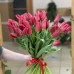 51 красный тюльпан