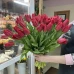 51 красный тюльпан