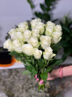Роза Атена 40 см
