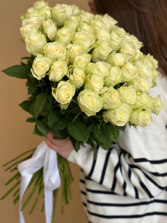 51 белая роза Кения Атена 60 см с лентой 