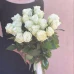 19 белых роз Атена с атласной лентой