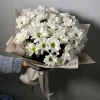 51 ромашка в упаковке