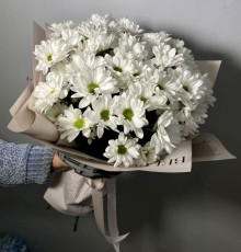 51 ромашка в упаковке