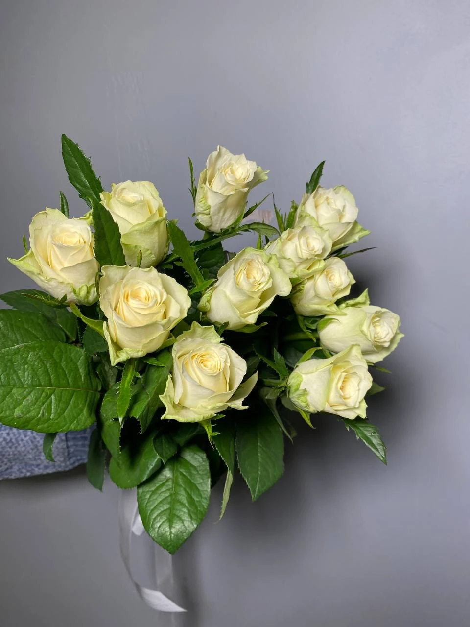 Роза Атена 60 см