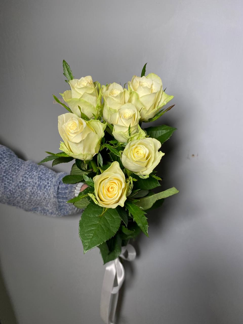 Роза Атена 60 см