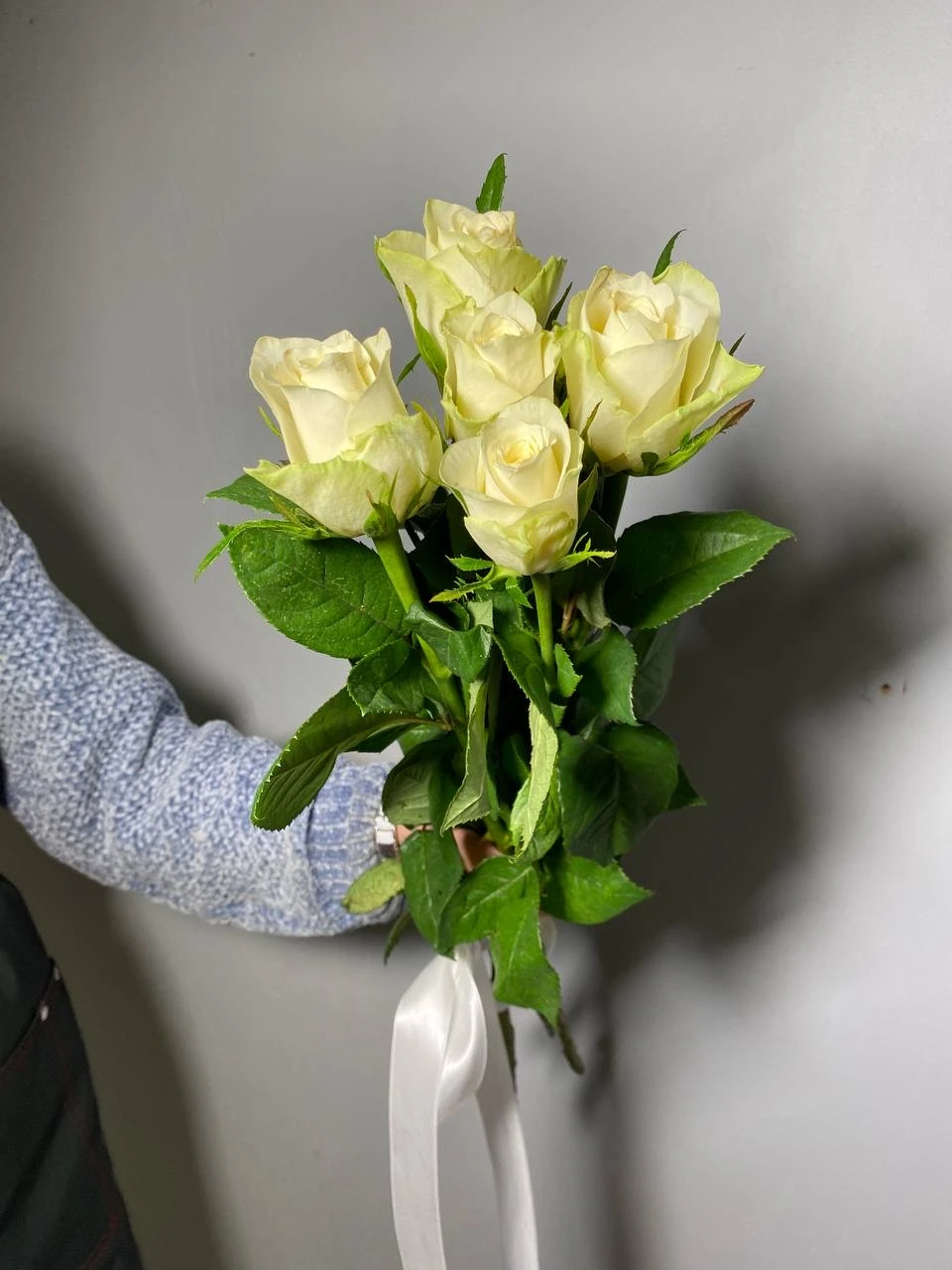 Роза Атена 60 см