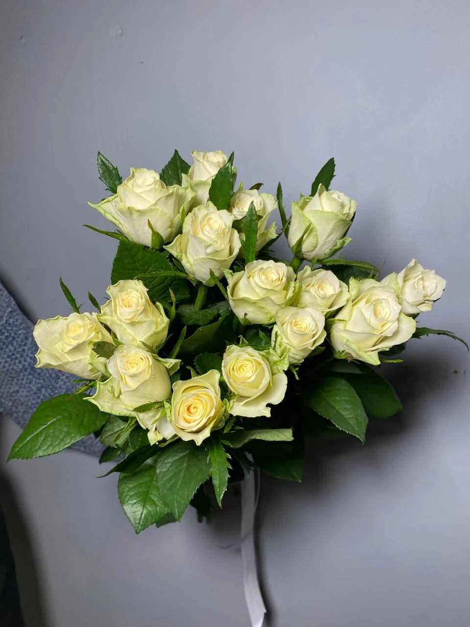 Роза Атена 60 см