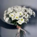 Хризантема ромашковая белая