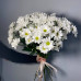 Хризантема кустовая белая