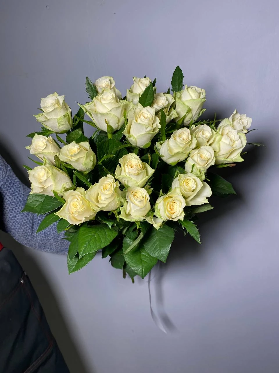 Роза Атена 60 см