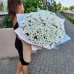 501 ромашка 