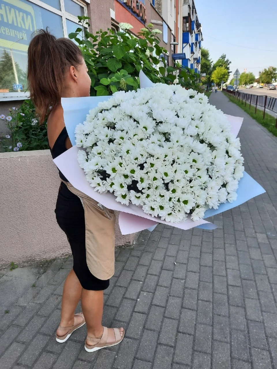 501 ромашка 