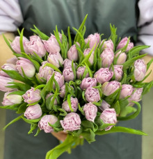 Пионовидный тюльпан Микс (поштучно)