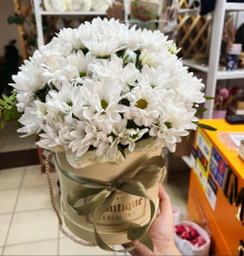 Трепетные фантазии