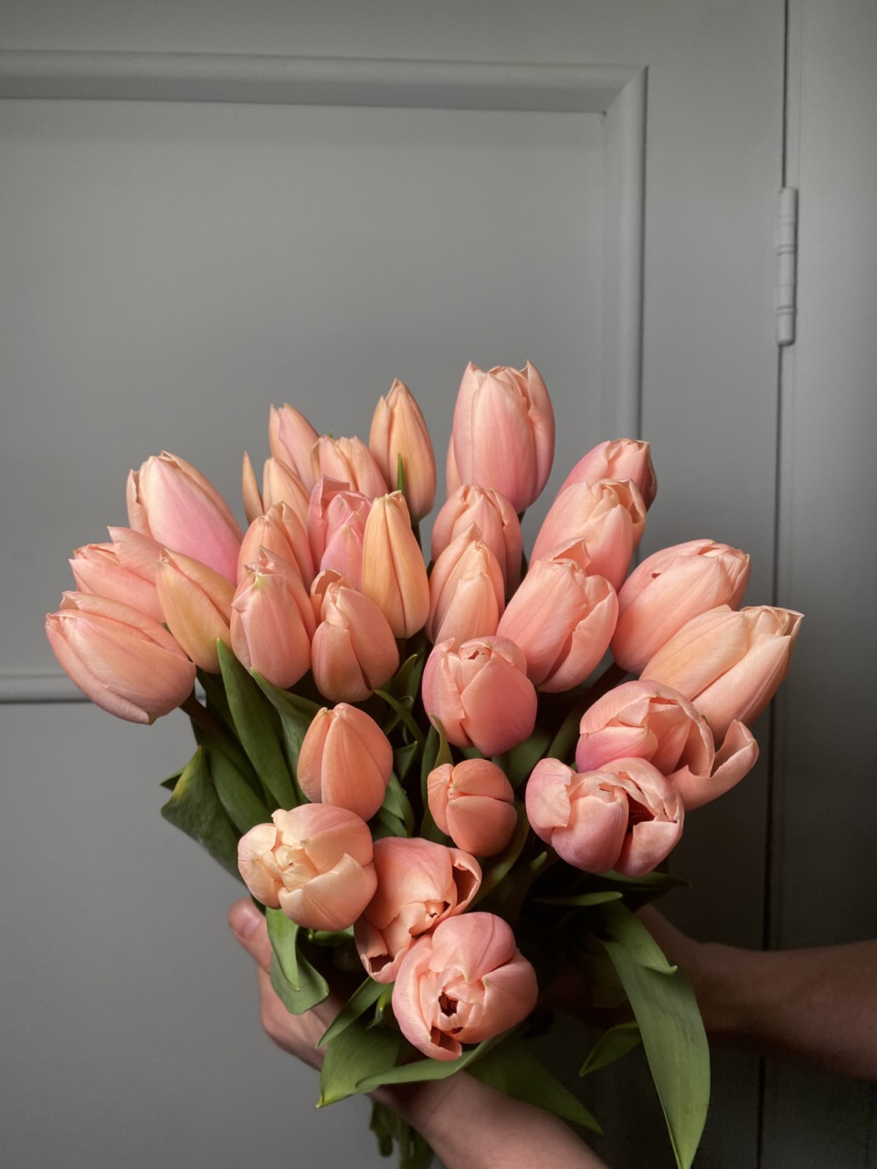 Тюльпан Тайс Бутс