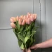 Тюльпан Тайс Бутс