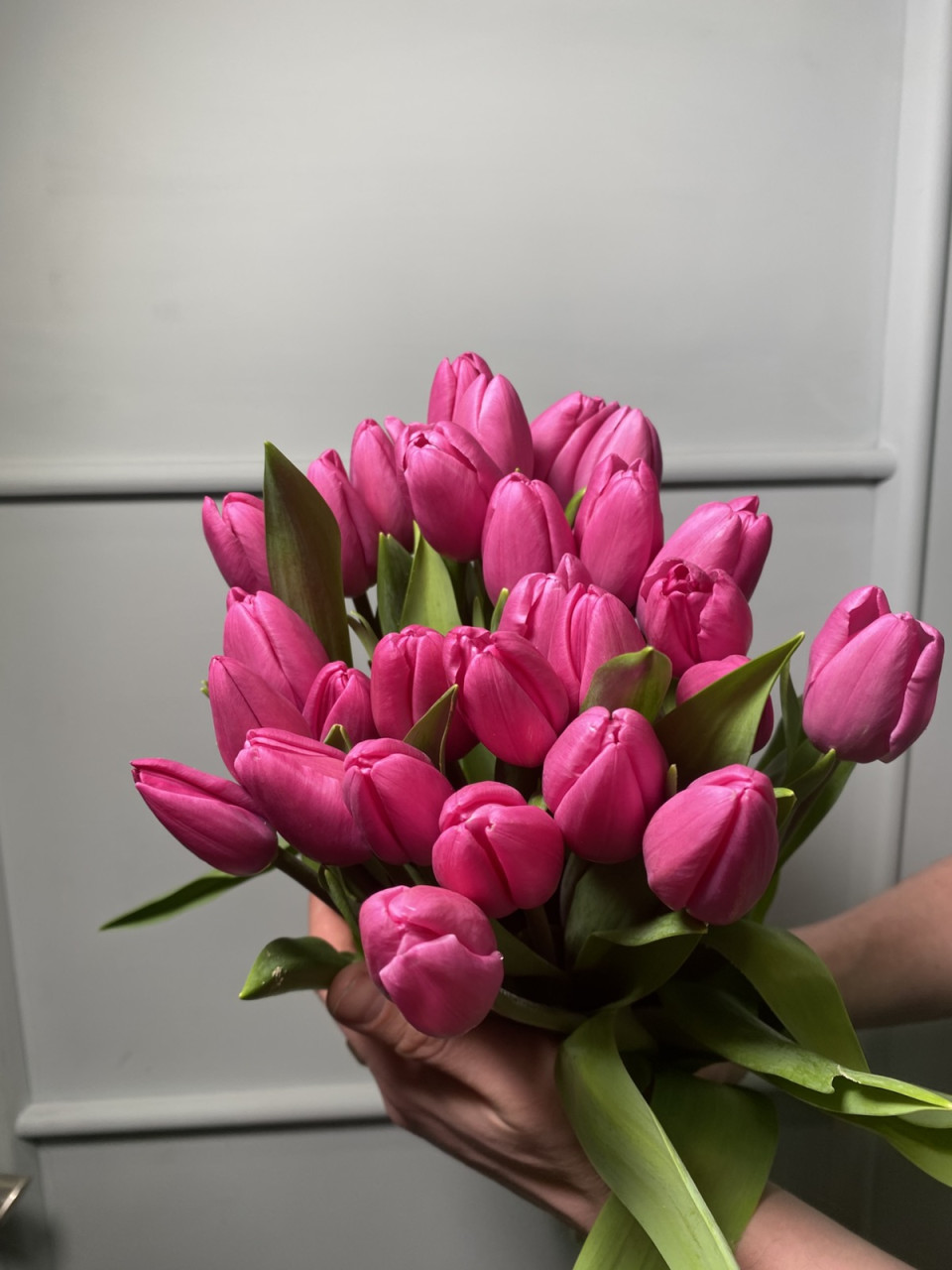 Тюльпан розовый Линкольн поштучно