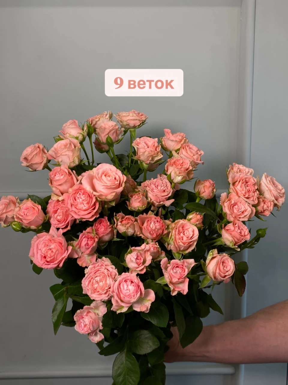 Кустовая роза "Мадам Бомбастик"