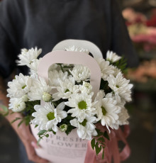 Сумочка с ромашками