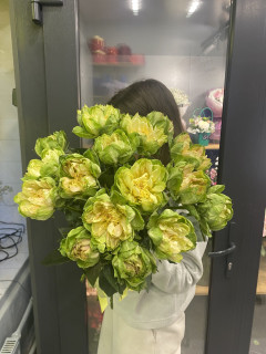 Роза "Вегги"