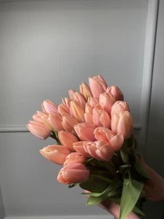 Тюльпан Тайс Бутс