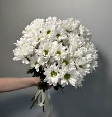 5 ромашковых хризантем 