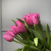 Тюльпан розовый Линкольн поштучно