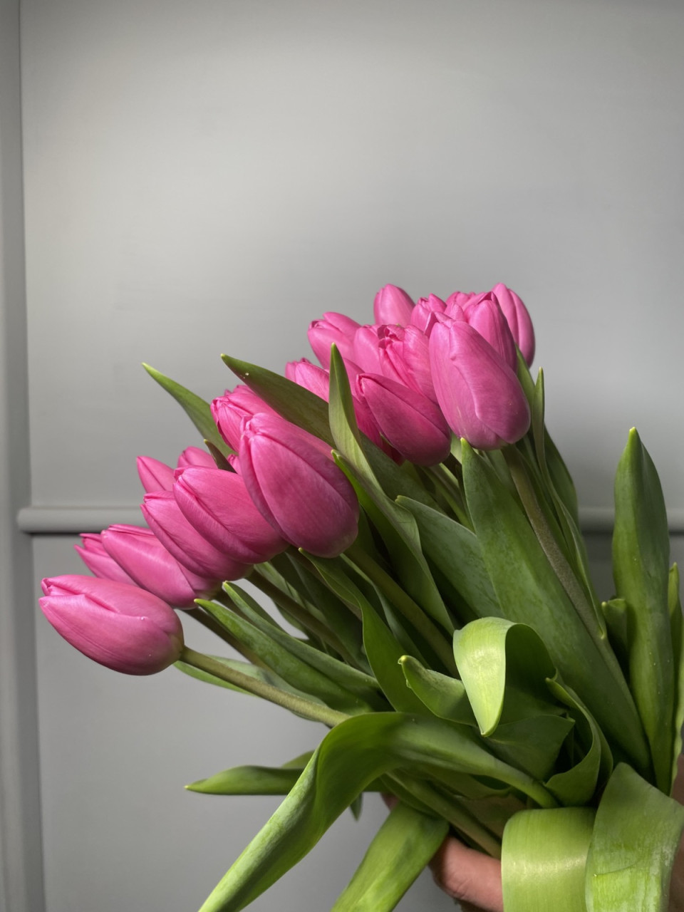 Тюльпан розовый Линкольн поштучно