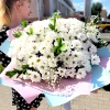 Букет из 201 ромашки с зеленью