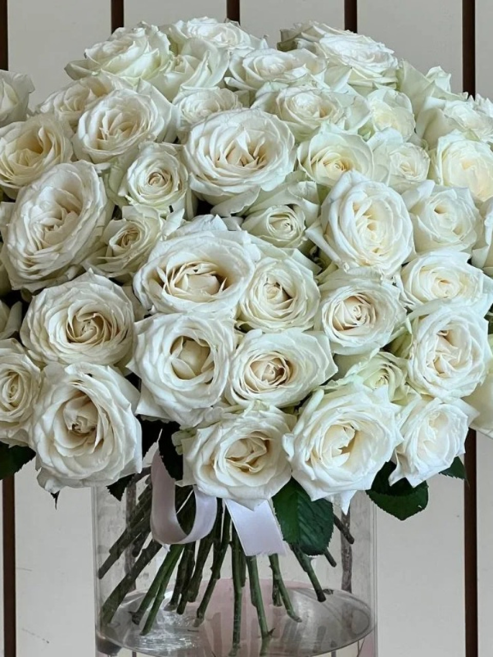 Роза РБ белая  Аваланш 40 см 