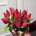 Букет из красных тюльпанов сорта Стронг