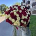 101 роза микс (Эквадор, красные и белые)