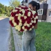 101 роза микс (Эквадор, красные и белые)