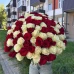 101 роза микс (Эквадор, красные и белые)