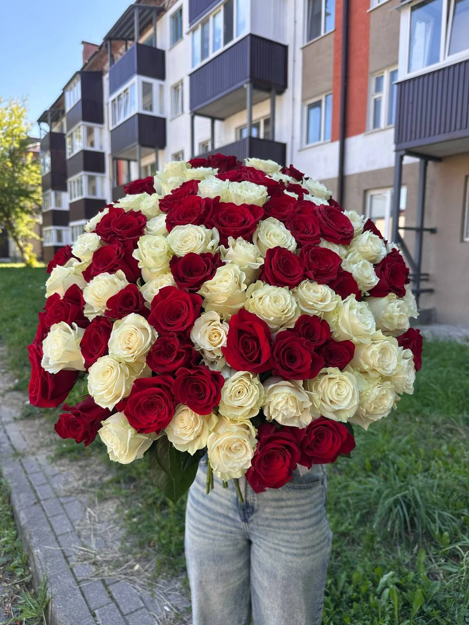 101 роза микс (Эквадор, красные и белые)