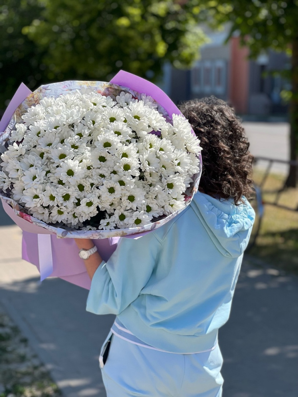 201 ромашка в упаковке