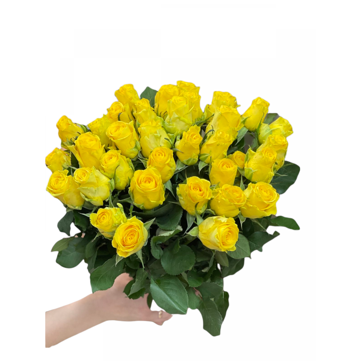 Жёлтая роза "Пени Лейн" 50 см 