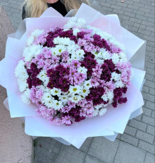 501 ромашка Розовый микс